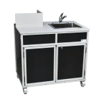 Portable handwashing sink with propane powered water heater